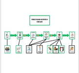 Supply Chain Chart & Cards (Montessori)