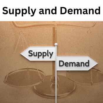 Supply and Demand | Definitions, Examples, Case Studies and Quiz