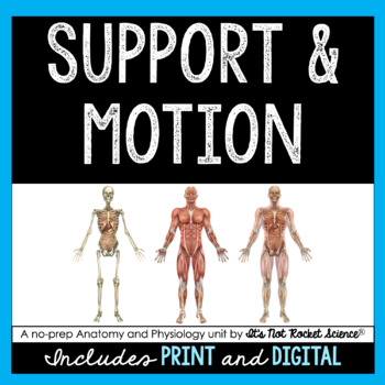 Preview of Support and Motion Unit