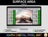 Surface Area 6.G.A.4 Math Self-Checking Pixel Art