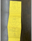 Surface Area/Volume Paper Train Review