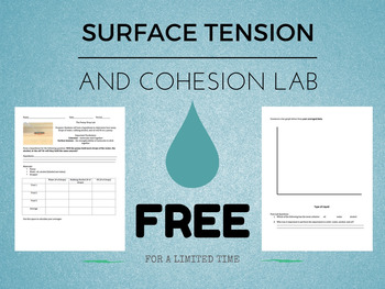 Preview of Surface Tension/Cohesion Lab