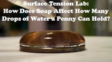 Scientific Method Activity: Surface Tension Penny Experiment