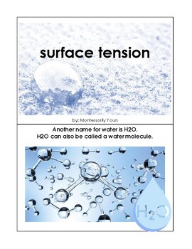Preview of Surface Tension Lesson Plan, Shelf Work, and Booklet