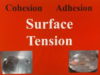 Preview of Surface Tension with Adhesion and Cohesion