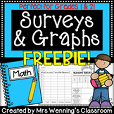 Surveys & Graphing FREEBIE!