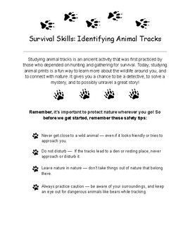 Animal Tracks Worksheet Bundle Identify Animal Tracks Educational Print PDF