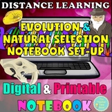 Natural Selection Digital Worksheet| Evolution Science Goo
