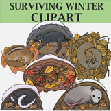 Hibernating Animals - Surviving Winter Clip Art