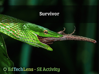 Preview of Survivor! - Adaptations and Predator/Prey Relationships - Home User Activity