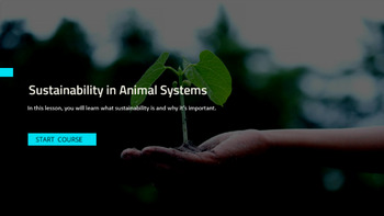 Preview of Sustainability in Animal Systems Presentation