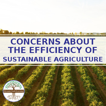 Preview of Is Sustainable Agriculture Efficient? - Science Worksheet Printable or Google