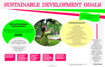 Preview of Sustainable Development Goals Poster for Environmental Science & Social Studies