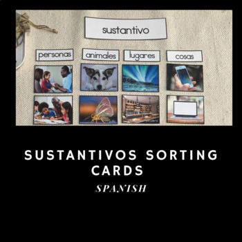 Preview of Sustantivos Sorting Cards (Nouns in Spanish)