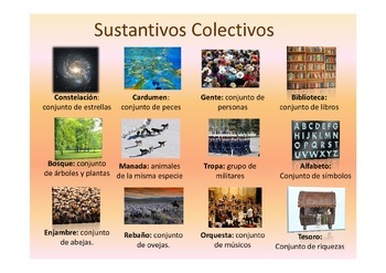 Preview of Sustantivos colectivos en Español - Collective nouns in Spanish