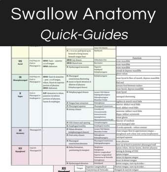Preview of Swallow Anatomy Quick-Guides