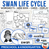 Swan Bird Life Cycle Worksheets Ugly Duckling Sequencing K