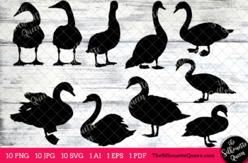 Swan Bird Clipart Silhouettes