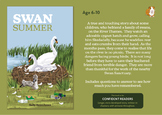 Swan Story (6-10 years)