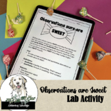 Sweet Qualitative and Quantitative Observation Lab Activity