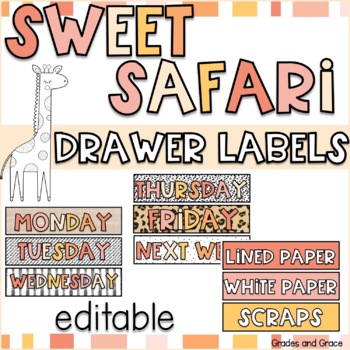 Preview of Sweet Safari Drawer Labels Classroom Decor