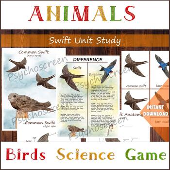 Preview of Swift Unit Study • MINI Printable swifts set • Common swift bird