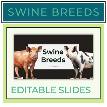 Preview of Swine Breeds PowerPoint Notes + Graphic Organizer | Pig Breeds