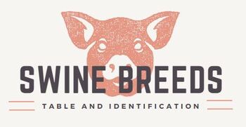 Preview of Swine Breeds Table and Identification