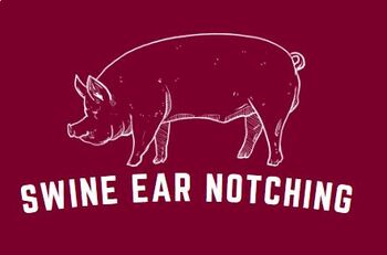 Preview of Swine Ear Notching