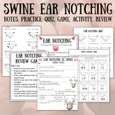 Swine Ear Notching Bundle (Notes, Practice, Quiz, Game, Activity)