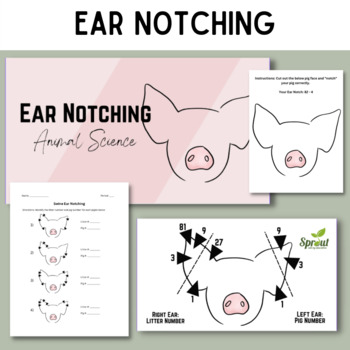 Preview of Swine Ear Notching PowerPoint, Worksheet, and Activity