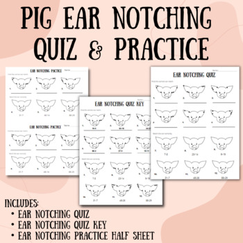 Preview of Swine Ear Notching Quiz & Practice