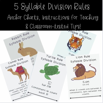 Preview of Syllable Division Anchor Charts l Teaching Directions & Tips l SOR/OG/Phonics