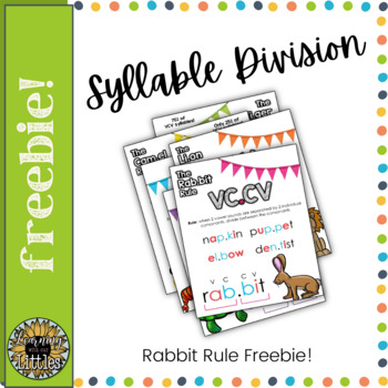 Preview of Syllable Division Poster: The Rabbit Rule (VCCV)