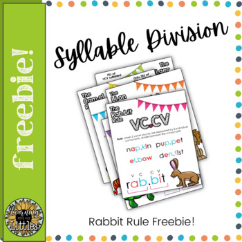 Syllable Division Poster: The Rabbit Rule (VCCV) by Learning with our ...