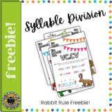 Syllable Division Poster: The Rabbit Rule (VCCV)