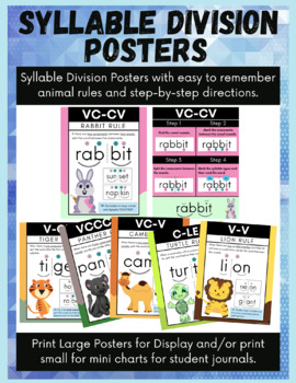 Preview of Syllable Division Posters - Science of Reading - Syllable Division Rules