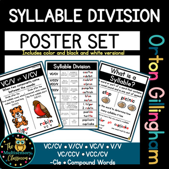 Preview of Syllable Division Posters for Orton Gillingham Lessons