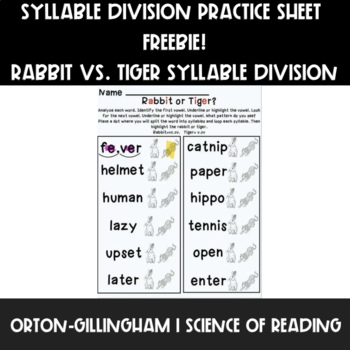 Preview of Syllable Division- Rabbit or Tiger Student Practice Sheet