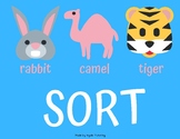 Syllable Division Rules: Rabbit (vc/cv), Camel (vc/v), Tig