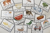 Syllable Flash Cards