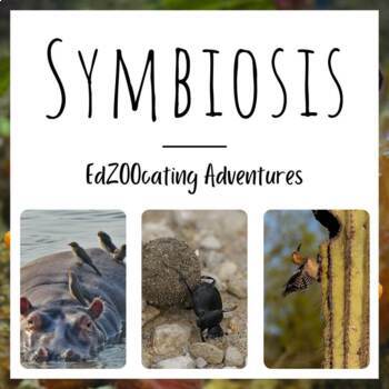 Preview of Symbiosis | Lesson with Video, Readings, Quizzes, and More!