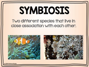 what does the word symbiosis mean in science