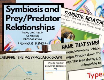 Preview of Symbiosis & Pre/Predator Relationships MiniLesson Drag and Drop