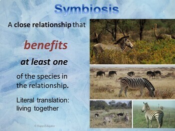 Symbiosis - Symbiotic Relationships PowerPoint by HappyEdugator | TpT