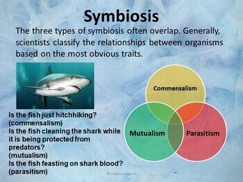 what are the four symbiotic relationships