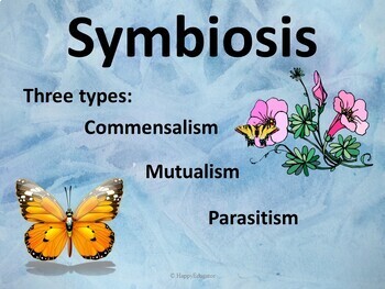 explain symbiotic relationship with the help of an example