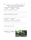 Symbiosis Visual Media Comprehension Sheet