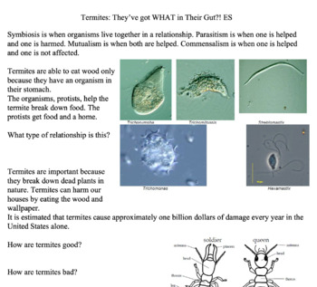 Preview of Symbiosis in the Gut of Termites, A Wet Lab on Microscopy ESOL/SPED Version