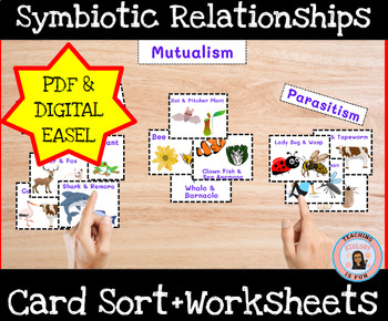 Preview of Symbiotic Relationship Card Sort Worksheet Cut and Paste Research Biology